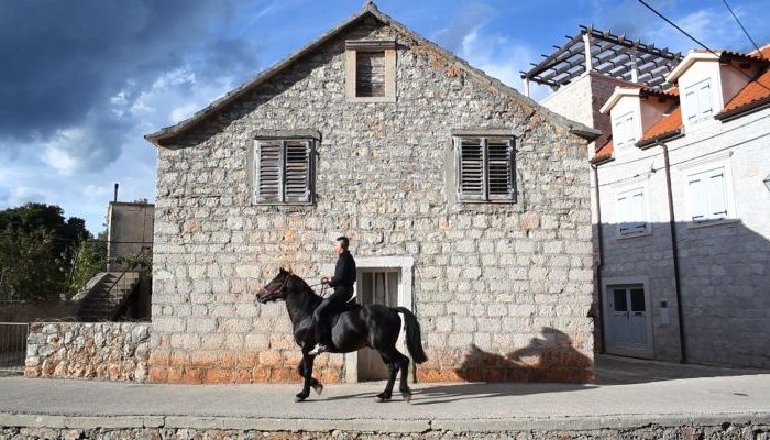 povezana slika