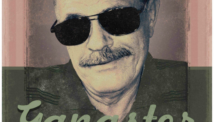 povezana slika