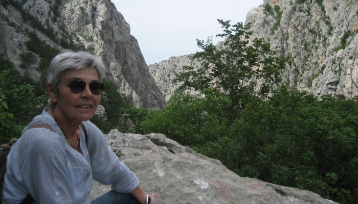 povezana slika