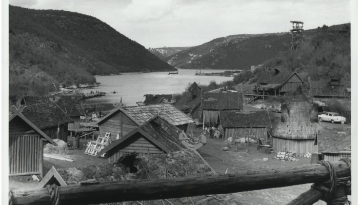 povezana slika