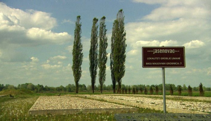 povezana slika