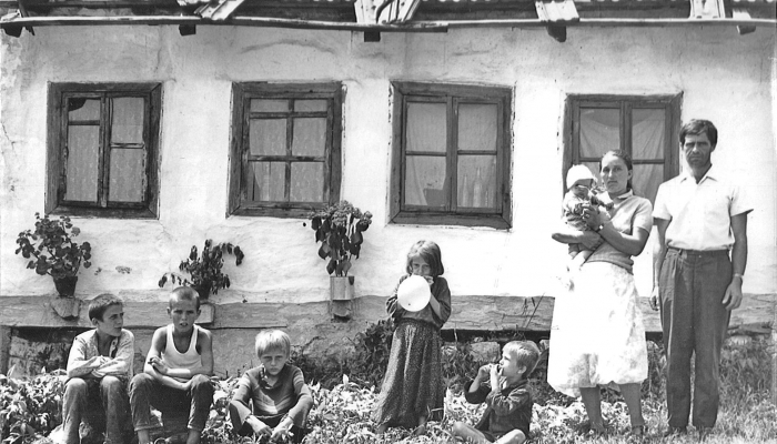 povezana slika