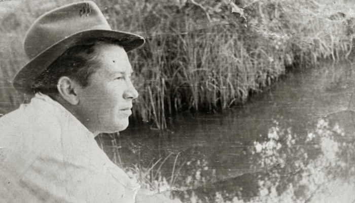 povezana slika